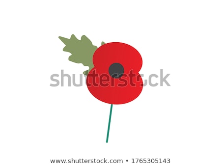 Stock photo: Poppy