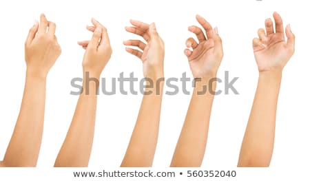 Foto stock: Female Palm Hand Gesture Isolated On White