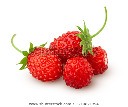 Stockfoto: Forest Strawberries