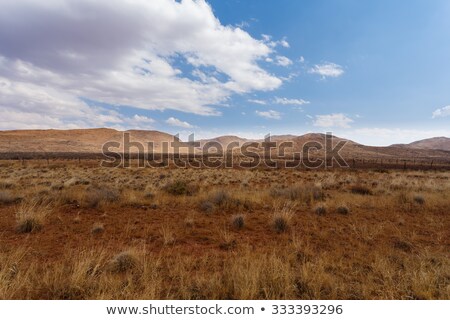 Stockfoto: Fantrastic Namibia Desert Landscape