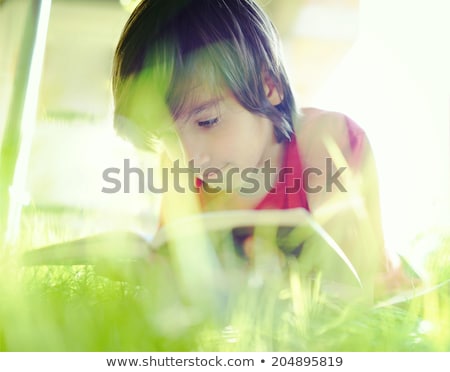 Zdjęcia stock: Little Boy Reading Book In Grass With Lens Flare