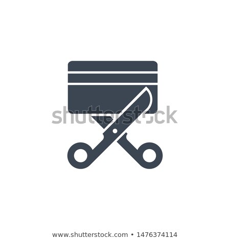 Stock fotó: Credit Card Related Vector Glyph Icon