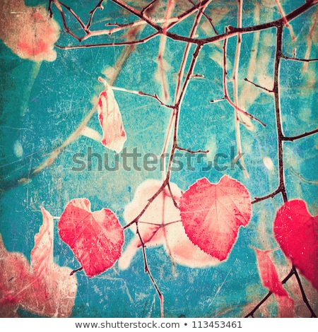 Stockfoto: Decayed Leaf Of A Paper With Red Hearts To The Valentines Day