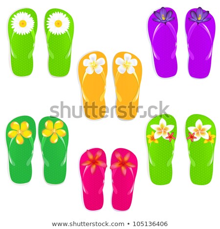 Stock photo: Sea Flip Flops With Camomile