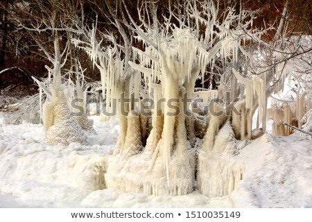 Сток-фото: Beautiful Icicles After An Extreme Ice Storm
