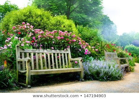 Bench In A Garden Zdjęcia stock © Konstanttin