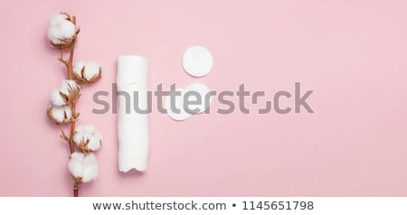 [[stock_photo]]: Branch Of Cotton Plant Eared Sticks Cotton Pads