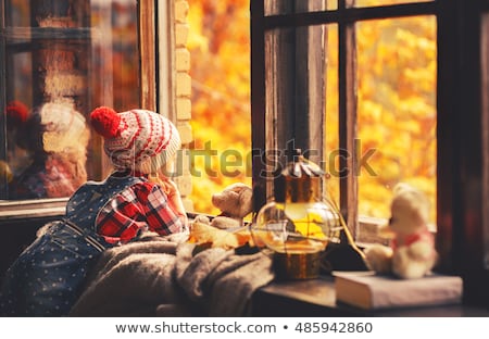 [[stock_photo]]: Sweet Baby In Autumn Park