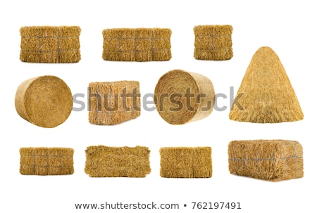 Stockfoto: Bales Of Straw On White Background