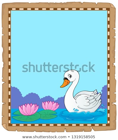 Stock foto: Swan Theme Parchment 1