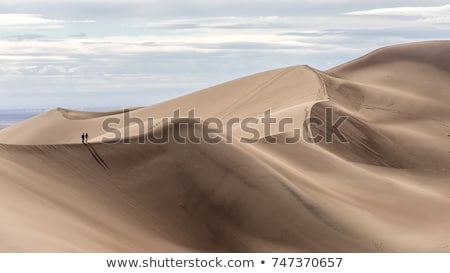 Foto stock: Sand Dunes