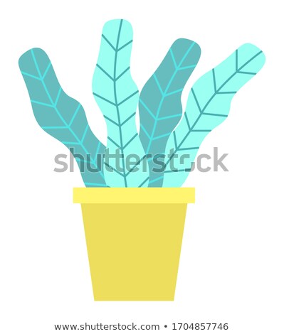 Foto stock: Evergreen Tree In Flowerpot Cartoon Style Leaves