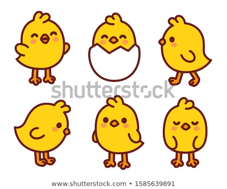 Stock photo: Baby Chickens