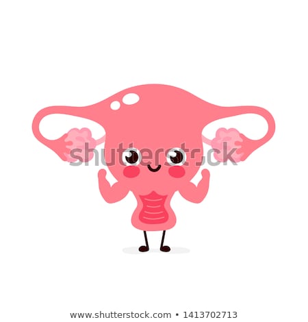 Stock photo: Uterus And Ovaries Concept