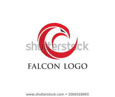 Stock fotó: Falcon Eagle Bird Logo Template