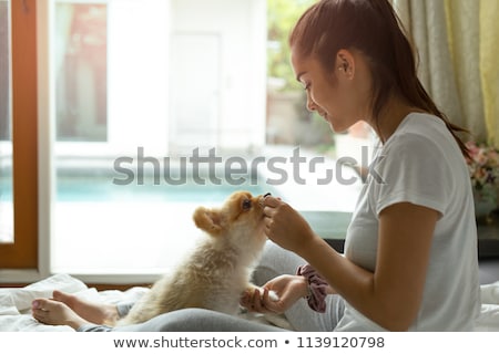 Stok fotoğraf: Dog Treat With Owner