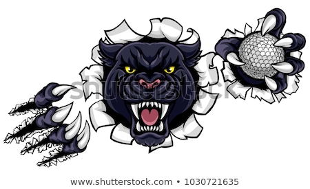 Сток-фото: Black Panther Golf Mascot Breaking Background