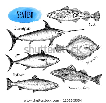 Stockfoto: Hand Drawn Swordfish Vector Illustration In Sketch Style