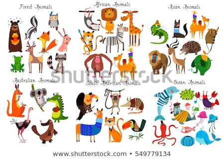 Stok fotoğraf: Educational Illustration Of Cartoon South American Animals