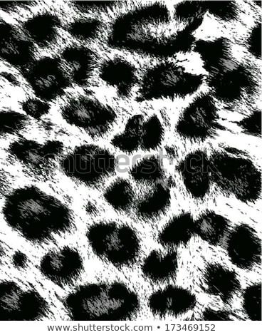 [[stock_photo]]: White Leopard Skin With Black Spots Detailed Background