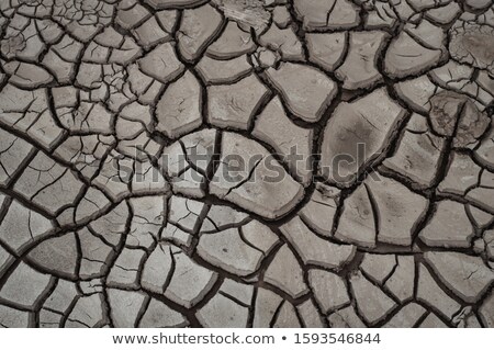 Stock fotó: Dry Terrain