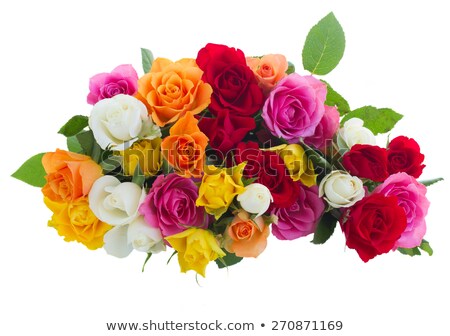Pile Of Colorful Roses Stock foto © Neirfy