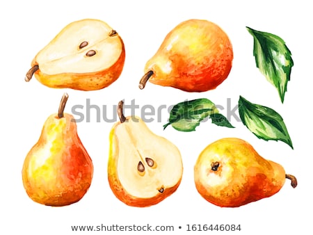Сток-фото: Pear On The Branch