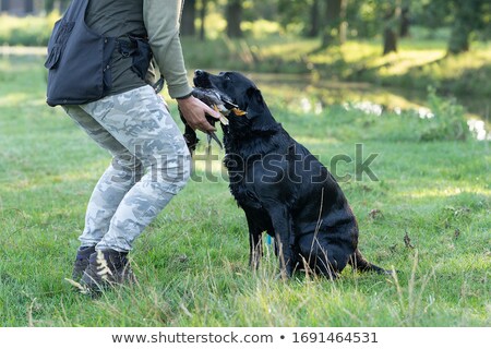 Zdjęcia stock: Duck Hunter With His Dog