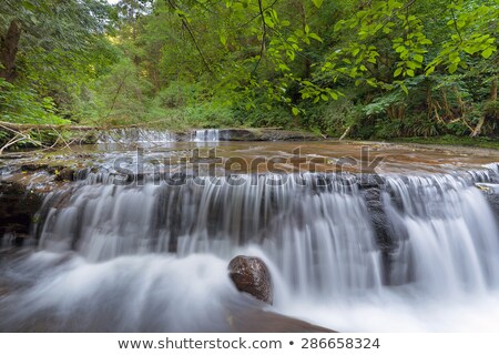 ストックフォト: Waterfall At Sweet Creek Falls Trail