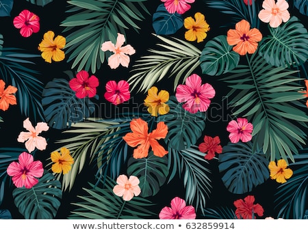 Stok fotoğraf: Floral Seamless Hawaiian Background With Hibiscus Flowers