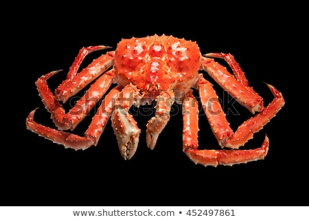 Foto stock: Large Red King Kamchatsky Crab Isolated On Black Background