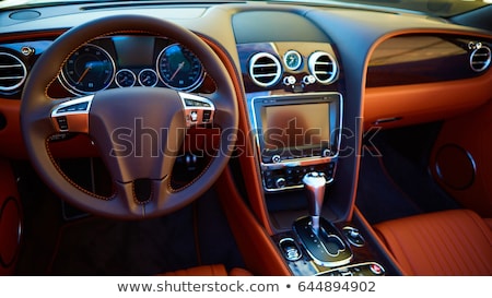 Foto d'archivio: Luxury Car Interior