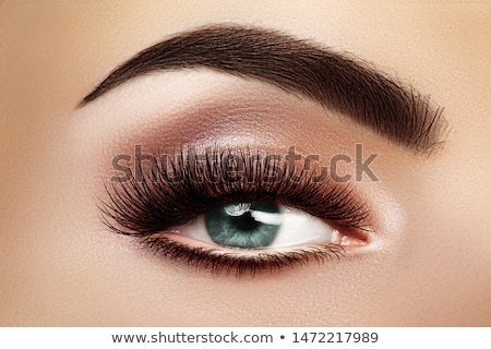 Foto d'archivio: Beautiful Macro Shot Of Female Eye With Extreme Long Eyelashes And Black Liner Makeup Perfect Shape