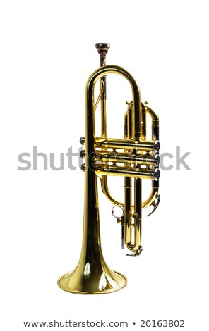Trumpet Resting On Its Bell Stock foto © rCarner