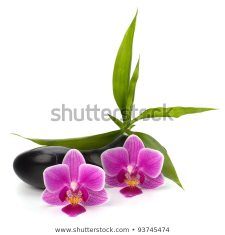 Foto stock: Shinny Pebbles Balance Spa And Healthcare Concept