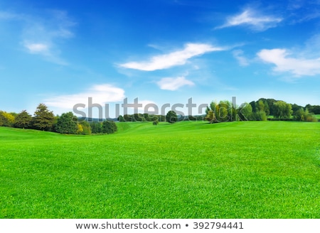 Stockfoto: Golf Back On Green Grass