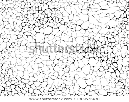 Foto stock: Cracked Mud Texture