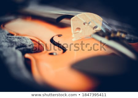 Stock fotó: Antique Fiddle Case And Violin