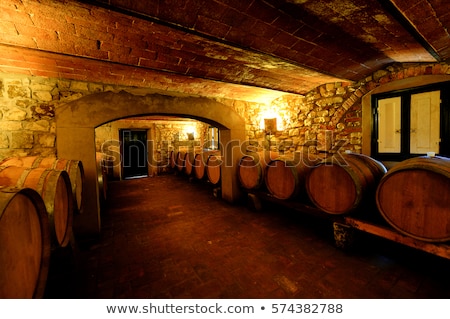 Foto stock: Wine Cellar From Mediterranean With Bottles