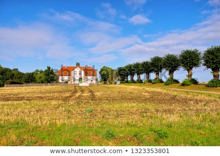 Stock photo: An Old Villa With A Lime Tree Avenue On The Island Of Poel