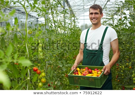 Stock fotó: Farming Man Carrying Box With Vegetables Harvest