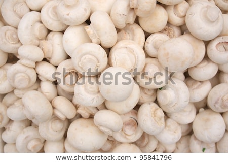 Сток-фото: White Mushroom Background