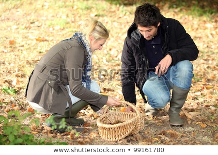 ストックフォト: Couple Picking Chestnuts