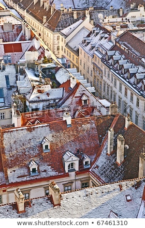 Stock photo: View Over Vienna In Snow