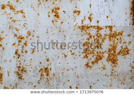 ストックフォト: Lots Of Rust Spots On White Painted Metal Surface