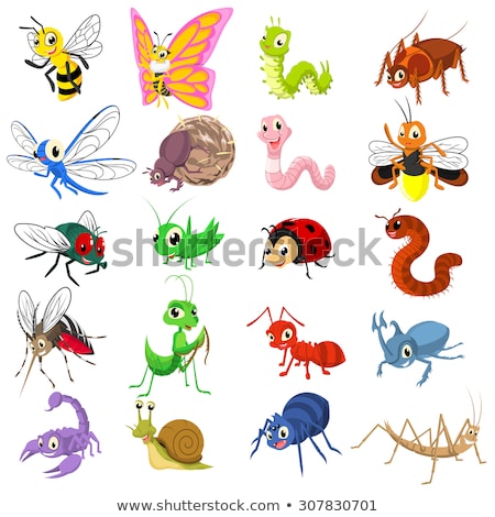 Firefly Vector Illustration Clip Art Image Bug Art Foto stock © ridjam