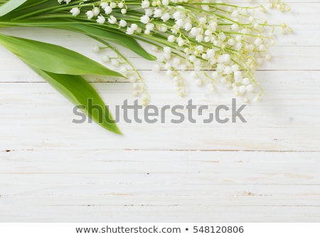 ストックフォト: Lilly Of The Valley