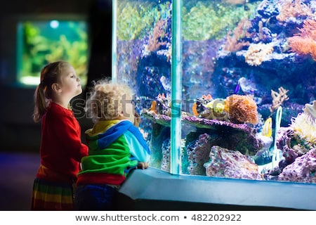 Stockfoto: Little Boy And Girl Watching Tropical Coral Fish In Large Sea Life Tank Kids At The Zoo Aquarium