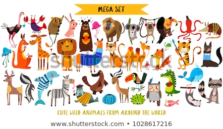 Zdjęcia stock: Set Of Animal Stickers