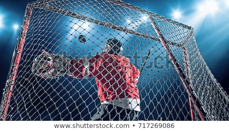 Foto stock: Hockey Goalie